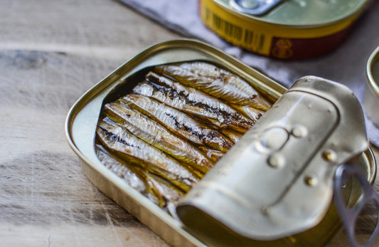 Oily sardine fish in a tin